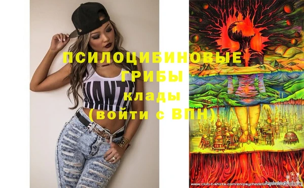 PSILOCYBIN Абдулино