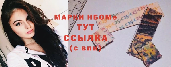 тгк Алексин