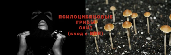 спайс Абинск