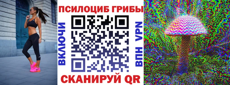 Галлюциногенные грибы MAGIC MUSHROOMS  цена наркотик  mega как зайти  Ангарск 