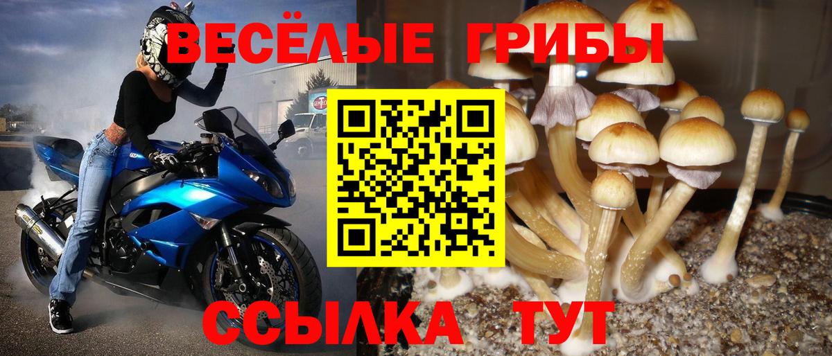 Ангарск  Галлюциногенные грибы ЛСД  Вход с VPN 